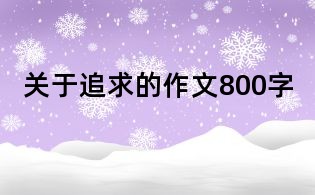 關于追求的作文800字