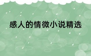 感人的情微小說精選