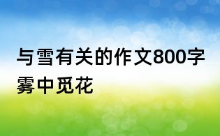 與雪有關(guān)的作文800字:霧中覓花