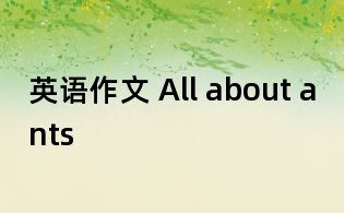 英語作文 All about ants